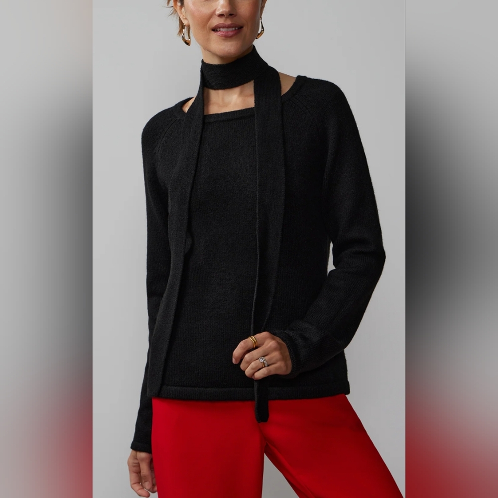 NY & Company Raglan Sleeve Detachable Scarf Sweater